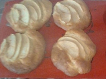 Tortini alle mele
