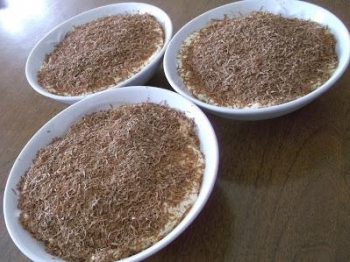 TIRAMISU' IN COPPA