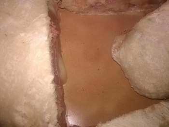 calzone farcito