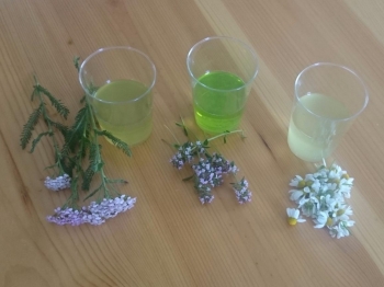 LIQUORI (fatti in casa)