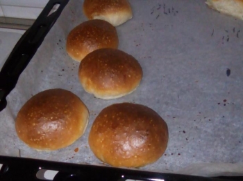 Panini all'olio