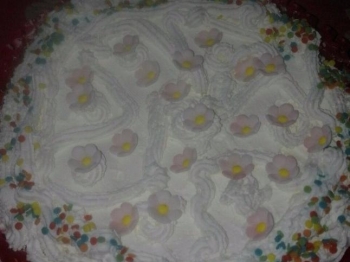 Torta per le feste