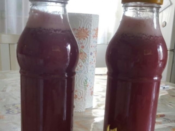 Succo di melograno