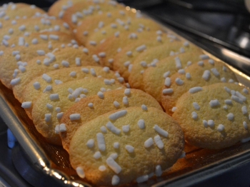Biscotti tipo pavesini