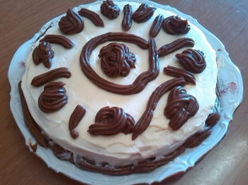 Torta per il mio compleanno fatta da me