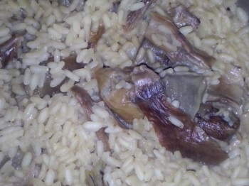 Risotto con funghi secchi
