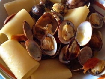 Paccheri con le vongole