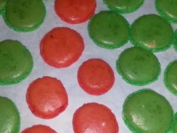 macarons bicolore