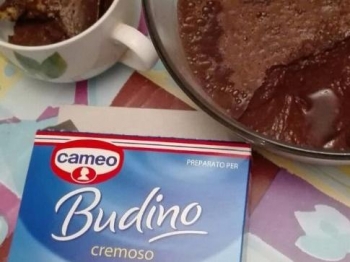 Budino Cameo Cremoso senza glutine e senza latte vaccino