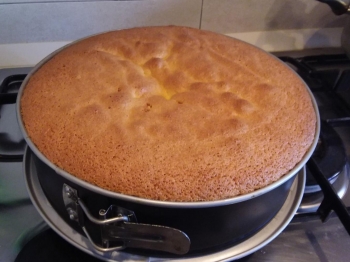 Pan di spagna