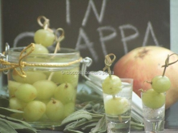 uva in grappa