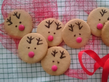 Biscotti renna