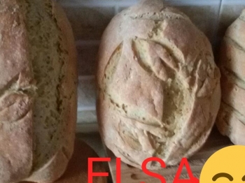 PANE CON FARINA TRITORDEUM E LIEVITO MADRE LIQUIDO
