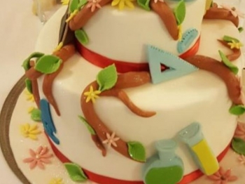 Torta del mare