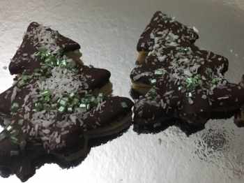 Alberi di Natale