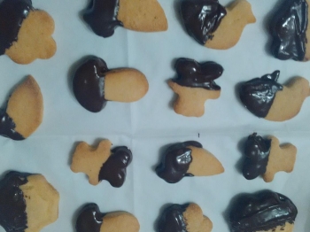 Biscotti al cioccolato