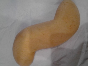 Biscotti ad S