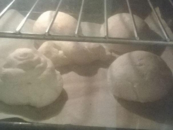 pane
