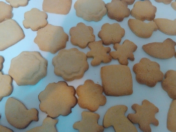 Biscotti semplici