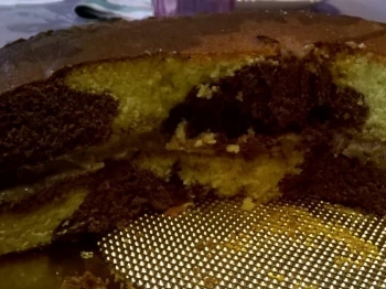 Torta bicolor