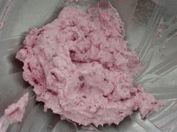 CREMA DIPLOMATICA AI FRUTTI DI BOSCO