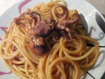 Bucatini con sugo di polipetti