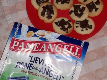 Biscottini con scagliette di cioccolato