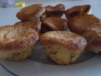 Muffin al cioccolato senza glutine