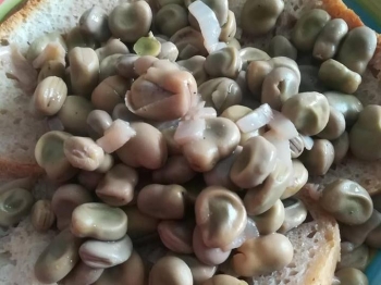 Zuppa con Fave