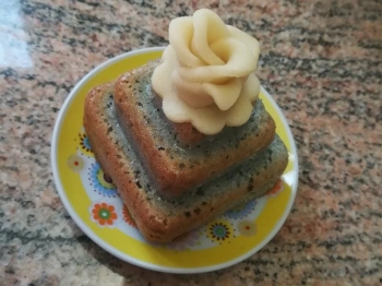 Tortino viola