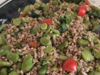 Insalata farro e fave