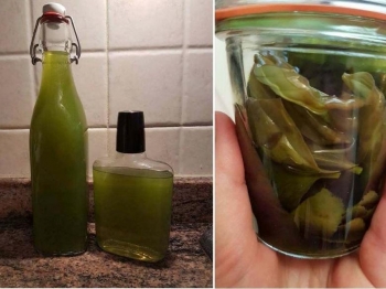 Liquore basilico e limone