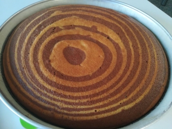 Torta zebrata