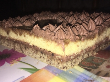Torta doppia con ganache al cioccolato 😱
