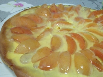 Pan di spagna con crema ed albicocche