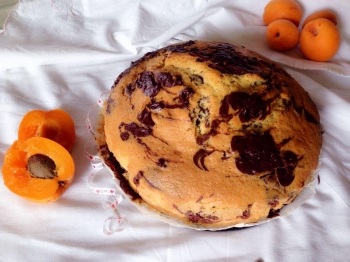 Torta ciocco-vaniglia all'albicocca