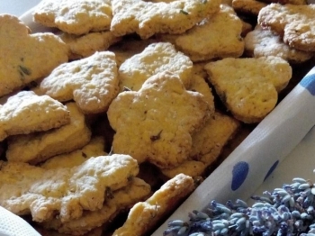 Biscotti alla lavanda
