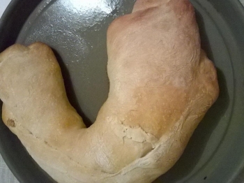 pane
