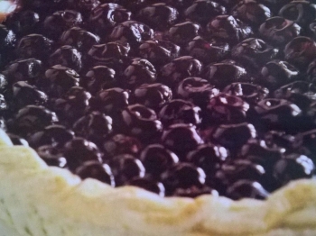 crostata di ciliegie con la ricotta