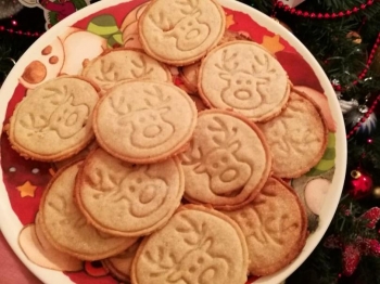 Biscotti alla Cannella