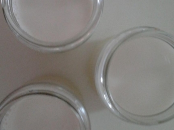 yogurt