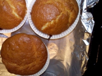 muffin al limone