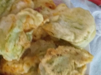 Fiori di zucca con mozzarella