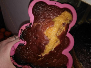 Torta per i nostri amici cani