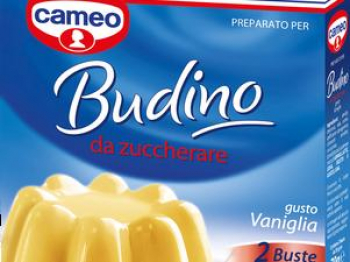 Budino alla vaniglia