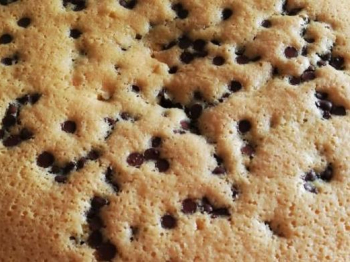 Torta senza glutine e lattosio