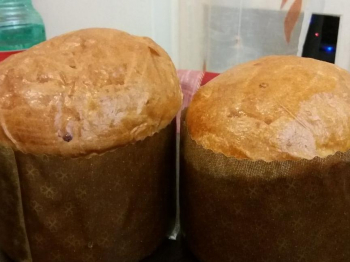 Panettone gastronomico