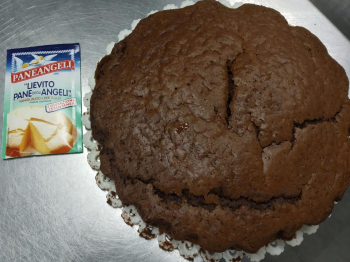 Torta al cacao e mascarpone senza uova