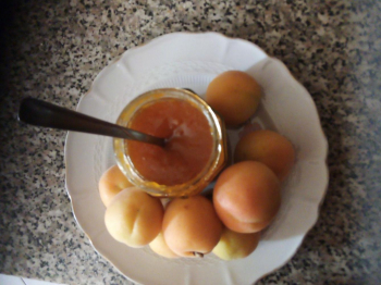Marmellata di albicocche