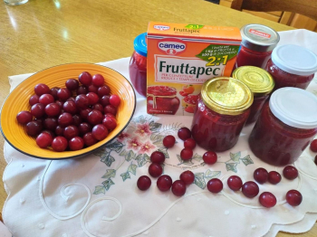 Marmellata di prugne ciliegine